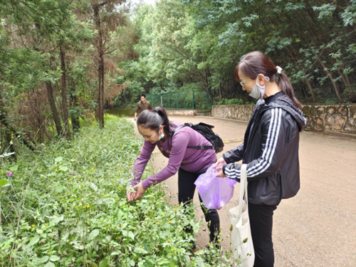 志愿服务情，奉献我先行——长虫山志愿者活动（修改版）227.png